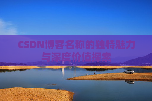 CSDN博客名称的独特魅力与深度价值探索